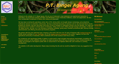 Desktop Screenshot of bingeiagung.com