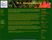 Tablet Screenshot of bingeiagung.com